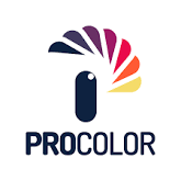Procolor Kereskedelmi Kft